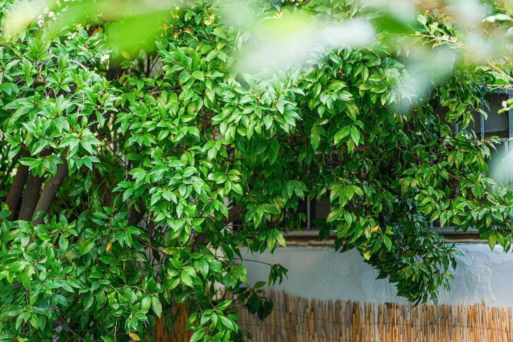 Holiday home Cozy 3 Bedroom Terrace In Cbd *