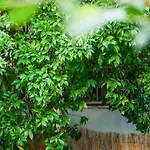 Cozy 3 Bedroom Terrace In Cbd